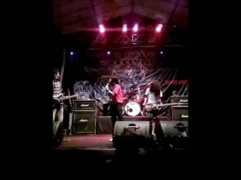 Try To Shine Bali Videos | ReverbNation