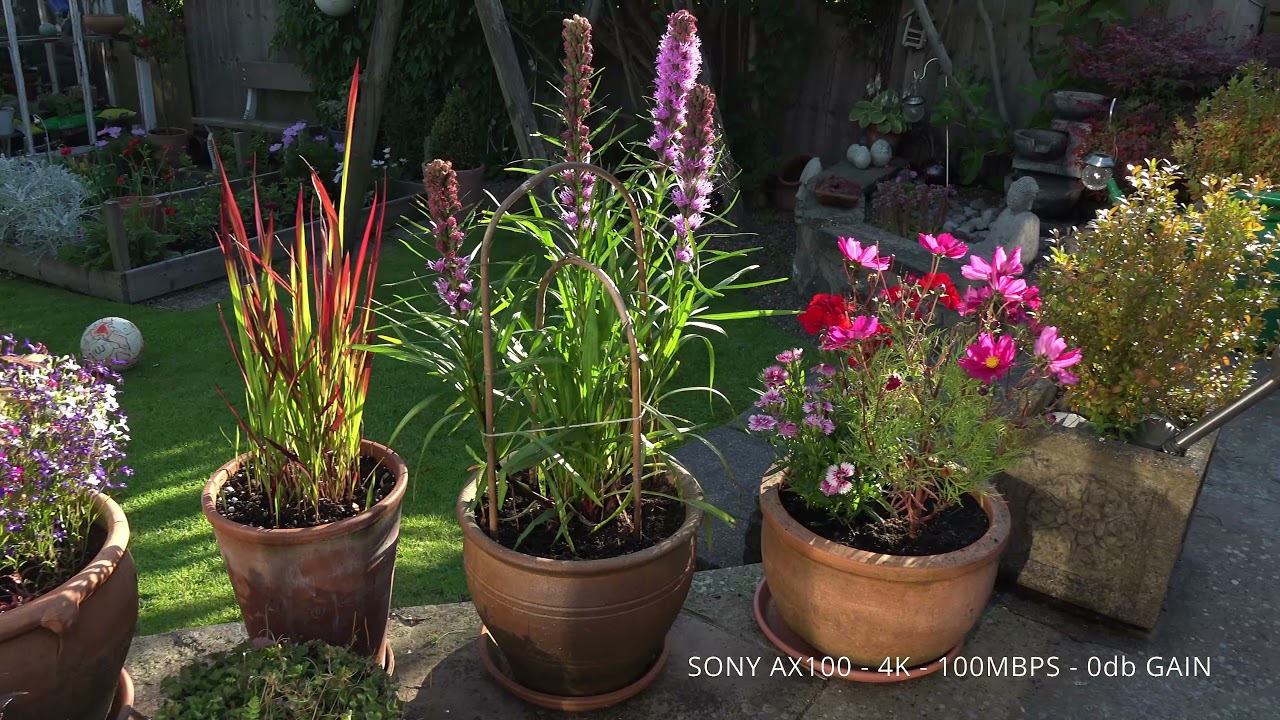 SONY AX100 4K test footage