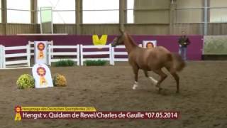 Video of Quickstar de Kreisker