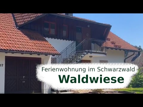 Apartment in the Black Forest - forest meadow