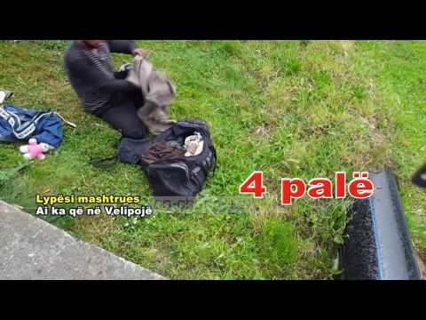 Fiks Fare, 10 Maj 2017, Pjesa 2 - Investigative Satirical Show