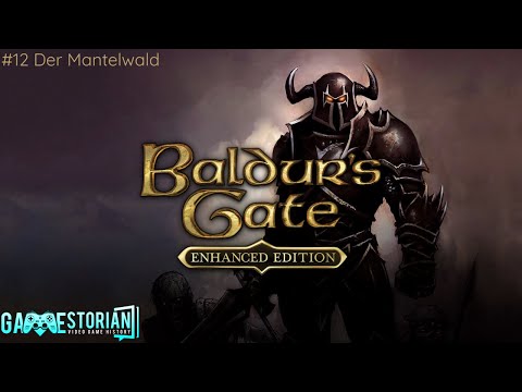 Baldurs Gate Enhanced Edition #12 Der Mantelwald