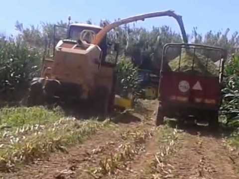 New Holland FX58 Feteiras