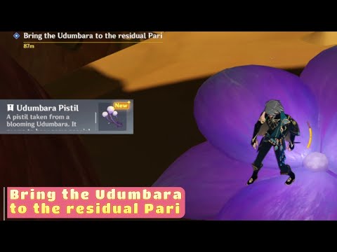 Bring the Udumbara to the Residual Pari | Genshin Impact