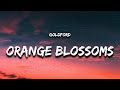 Goldford - Orange Blossoms (Lyrics)  | 1 Hour Version