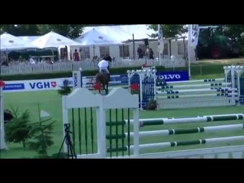 Philipp Schulze - Ziave v. Canturo x Coriano 6/jähr. Stute