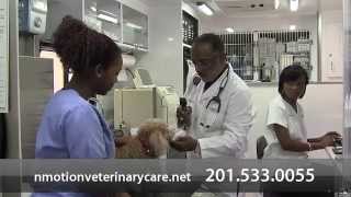 preview picture of video 'N Motion Home Veterinary Care - Short | Crofton, MD'