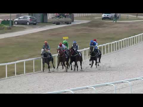2019.11.03. 02. futam - GRÓF KEGLEVICH LÁSZLÓ EMLÉKVERSENY HENDIKEP (IV.o.) (szintetikus pálya)