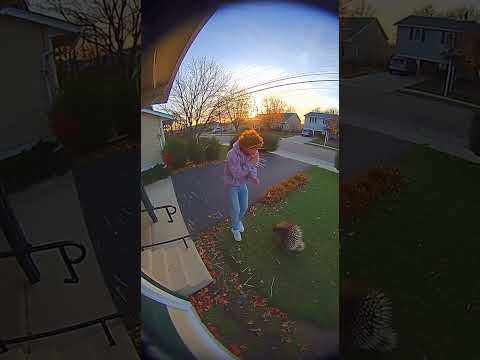 Billy really thought sonic was supposed to be nice