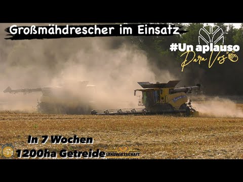 in 7 Wochen 1200ha Getreide! Großmähdrescher im Einsatz New Holland 9.90 Mähdrescher beim dreschen