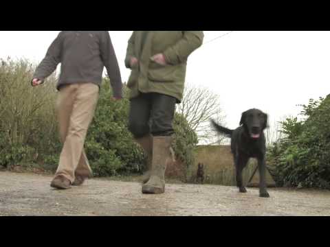 Dog theft victim speaks out