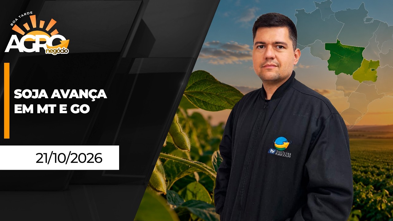 BOA TARDE AGRO - Soja avança em MT e GO