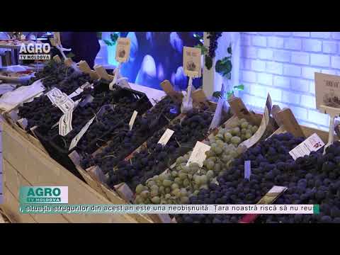 , title : 'Situație neobișnuită pe piața strugurilor din Moldova – AGRO TV News'
