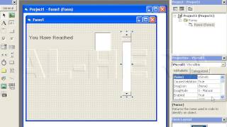 Project 9 visual basic