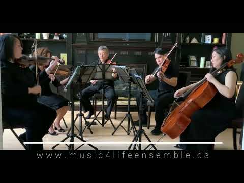Promotional video thumbnail 2 for Music4Life Ensemble