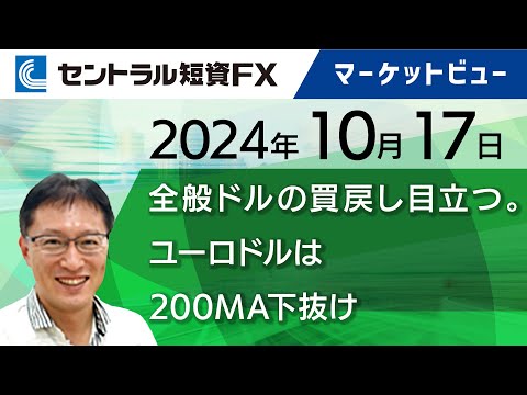 デルタ博物館のコンコルド