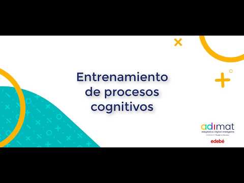 Procesos cognitivos matemáticas