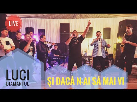 Luci Diamantul & Formatia || Si Daca N-ai Sa Mai Vi || Live 2024