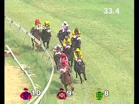 HRC Races 20th November 2017 Race 02