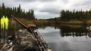 Bowhunting Moose with LongBow