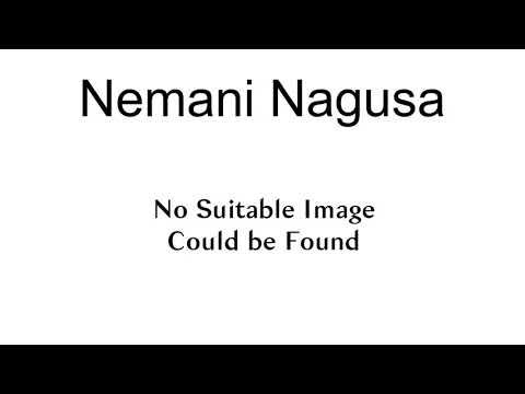 Nemani Nagusa