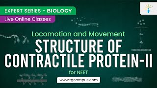 Structure of Contractile Protein-II | Locomotion and Movement | NEET | Biology - TG Campus