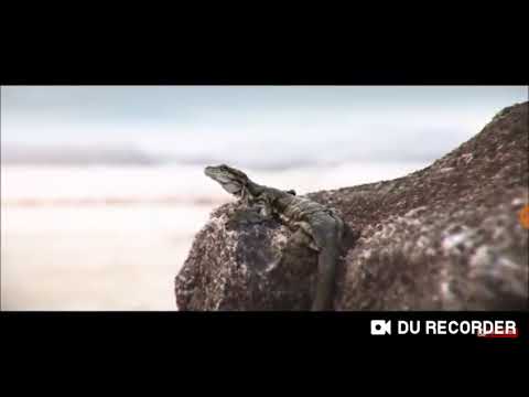 Kit Hype ln my head (muzic -noch