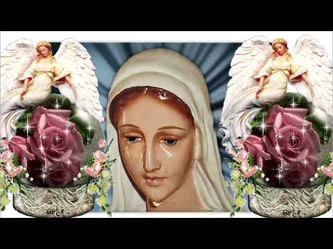 Pedro Regis (Anguera, Brazylia), 26.03.2022., ORĘDZIE MARYTI, KRÓLOWEJ POKOJU