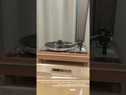 情(是永願著迷) (電影「花仔多情」插曲) 譚詠麟 Thorens TD 160