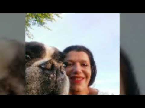 download lagu mp3 mp4 Amour De Boxer, download lagu Amour De Boxer gratis, unduh video klip Amour De Boxer