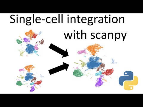 Single-cell integration in python with scanpy
