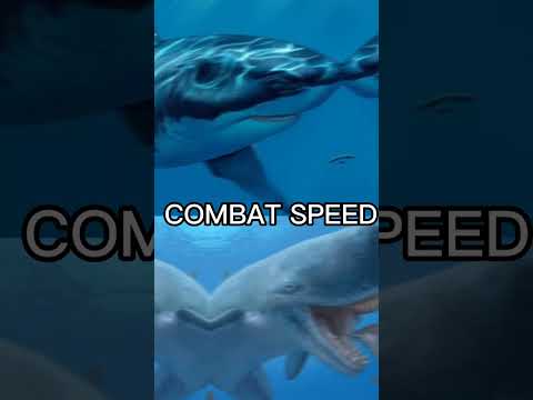 Megalodon Vs Livyatan *[based on real life]*