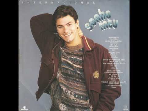 Novela - 1993 - Sonho Meu (Internacional)