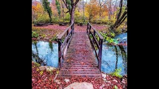 Innovación en la Educación..........