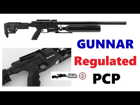 Benjamin GUNNAR (Regulated) PCP Black Rifle in .22 & .25 Caliber (Shot Show 2022 Air Guns)