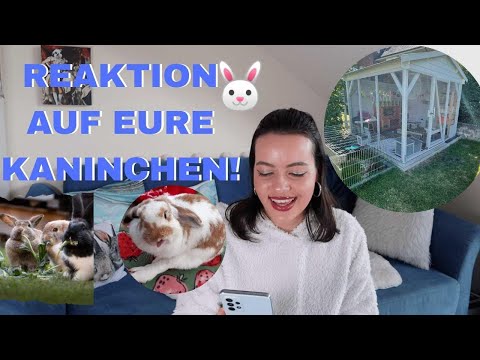 , title : 'Ich reagiere auf EURE KANINCHEN & Gehege 😂🐰| M. Mörki'