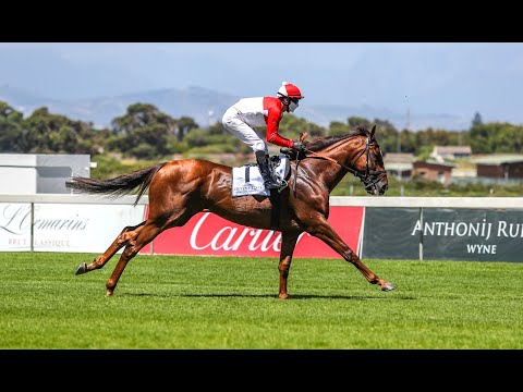 2021 CAPE TOWN MET GR1: GOLDEN DUCAT