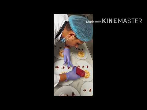 #pastrychef#dessert#cake#antoniobachour#chocolate#valhrona#belcolade#patisseir#chocolatemousse#dark