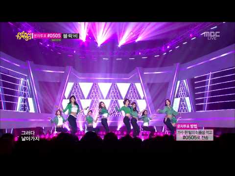 나인뮤지스 GUN - 131012 쇼! 음악중심