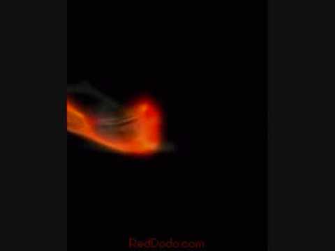 doktordod schakephuloc ll kval tt08