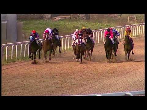 rm 20211224 06 p awchristmasstayer