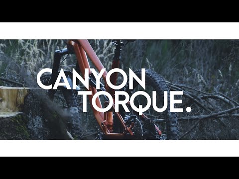 Canyon Torque Al 5.0 | BIKEPORN