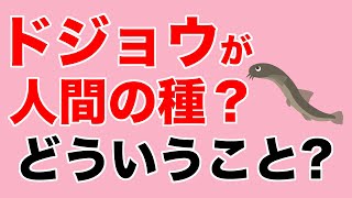ドジョウは人間の種？親神様はどのように人間世界を創造されたの？【教典第三章 part2】【天理教の教え】