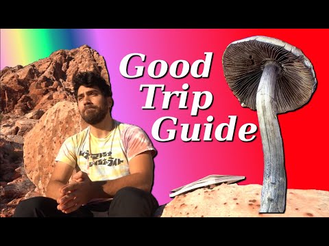 10 Steps To Having A Good Trip