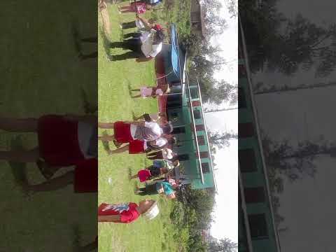 #yunsa #arbol #carnaval #sanmiguel #cajamarca #2025 #peru 🇵🇪