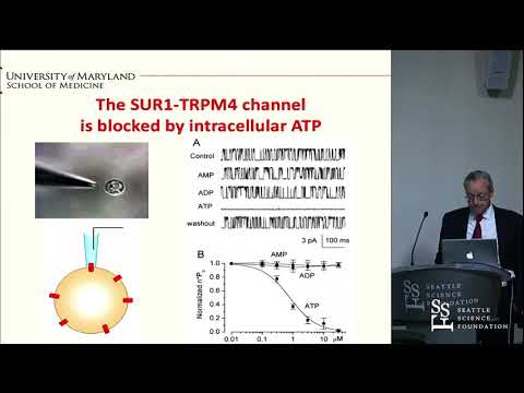 Sur1 Trpm4 in Stroke: Bench to Bedside - Marc Simard, MD, PhD
