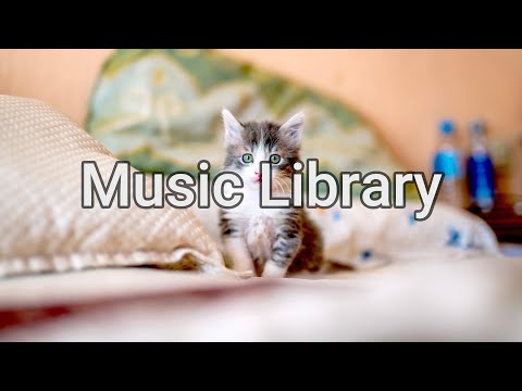 The Curious Kitten by Aaron Kenny