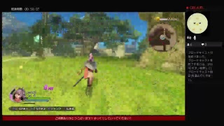 ポンコツドラゴンクエスト［ドラゴンクエストヒーローズ2］