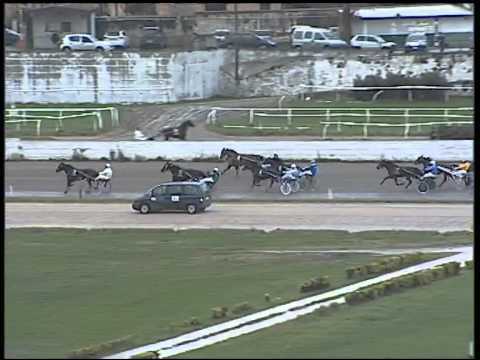 Trotto 22/01/2015 - 4° Corsa