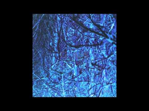 𝐆 𝐀 𝐒 (Wolfgang Voigt) — Untitled 5 (𝐆 𝐀 𝐒 (Nah und Fern))